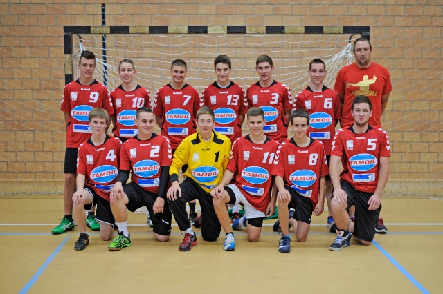 TSV Frick Handball::SG Fricktal U19 - Saison 2013/2014 TSVFrickHB1314 U19 small