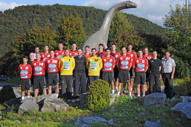 TSV Frick Handball::Herren 1 TSVFrickHB H1 1415 klein