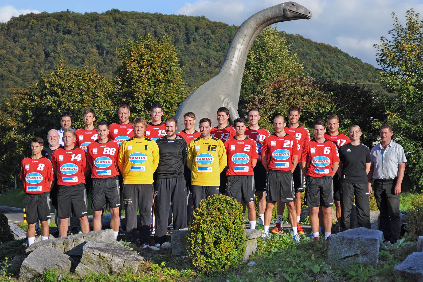 TSV Frick Handball::1. Mannschaft TSVFrickHB H1 1415 web