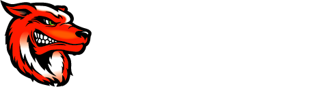 TSV Frick Handball