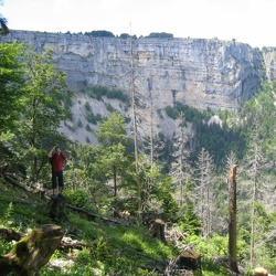 2007