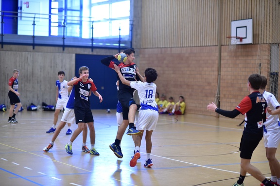 DSF 7061