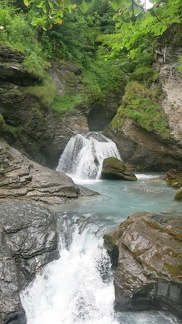 IMG 0092