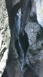 IMG 0140