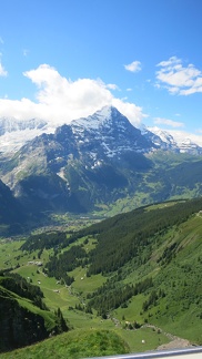 IMG 0208
