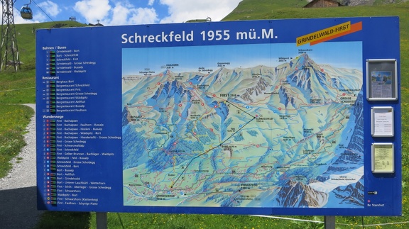IMG 0254