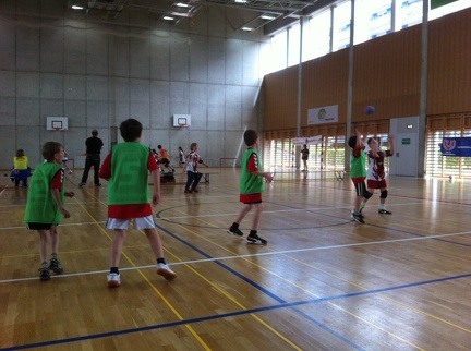 ch minispieltag 2014 7