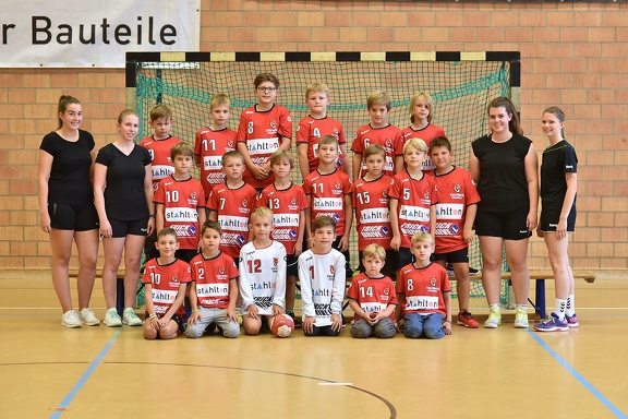 TSVFrickHB1920 Minis web