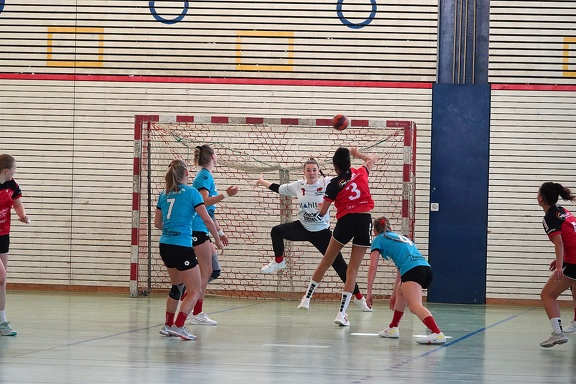 D1-220105-DSC06774