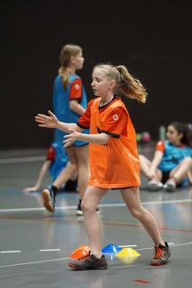 DSC07334 web