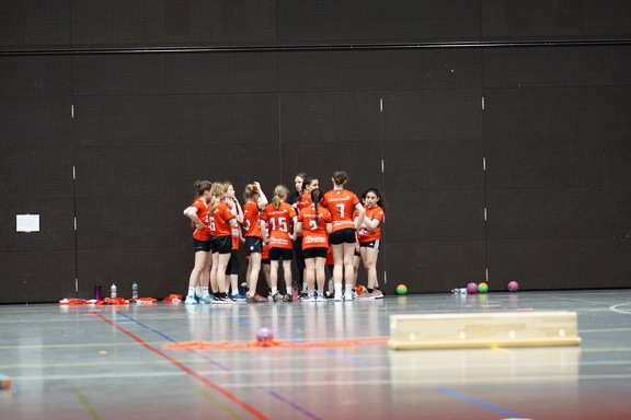 DSC07412 web
