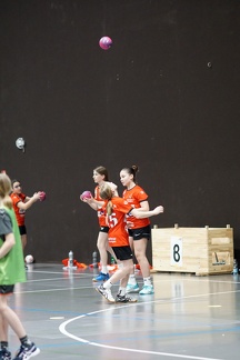 DSC07445 web