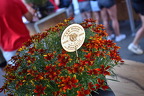Jubiläumsfest 5.7.25 - 50 Jahre TSV Frick Handball